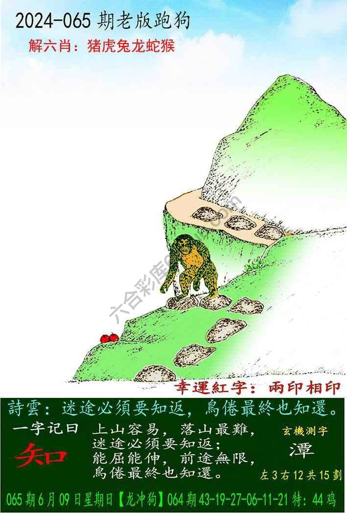 老版跑狗图