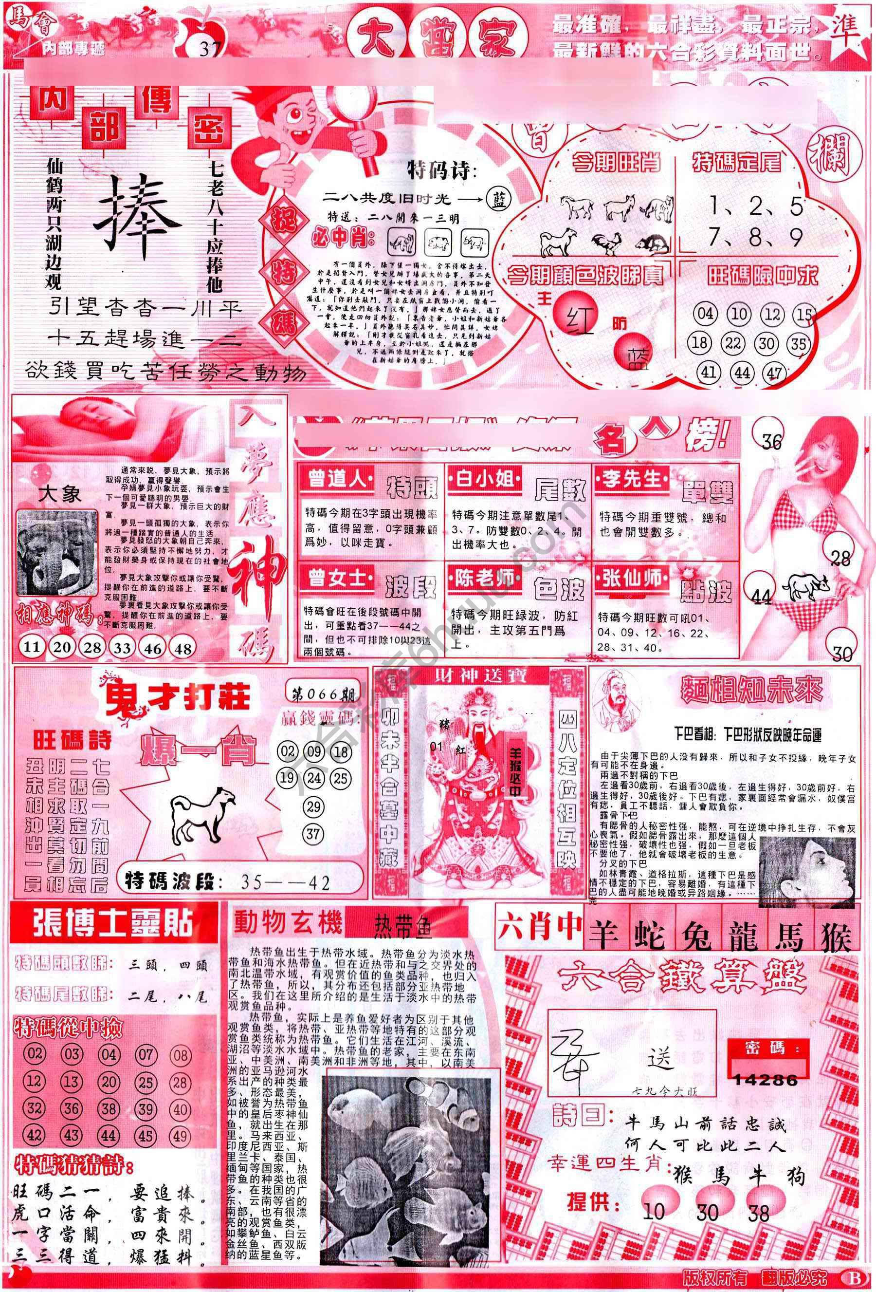 大当家
