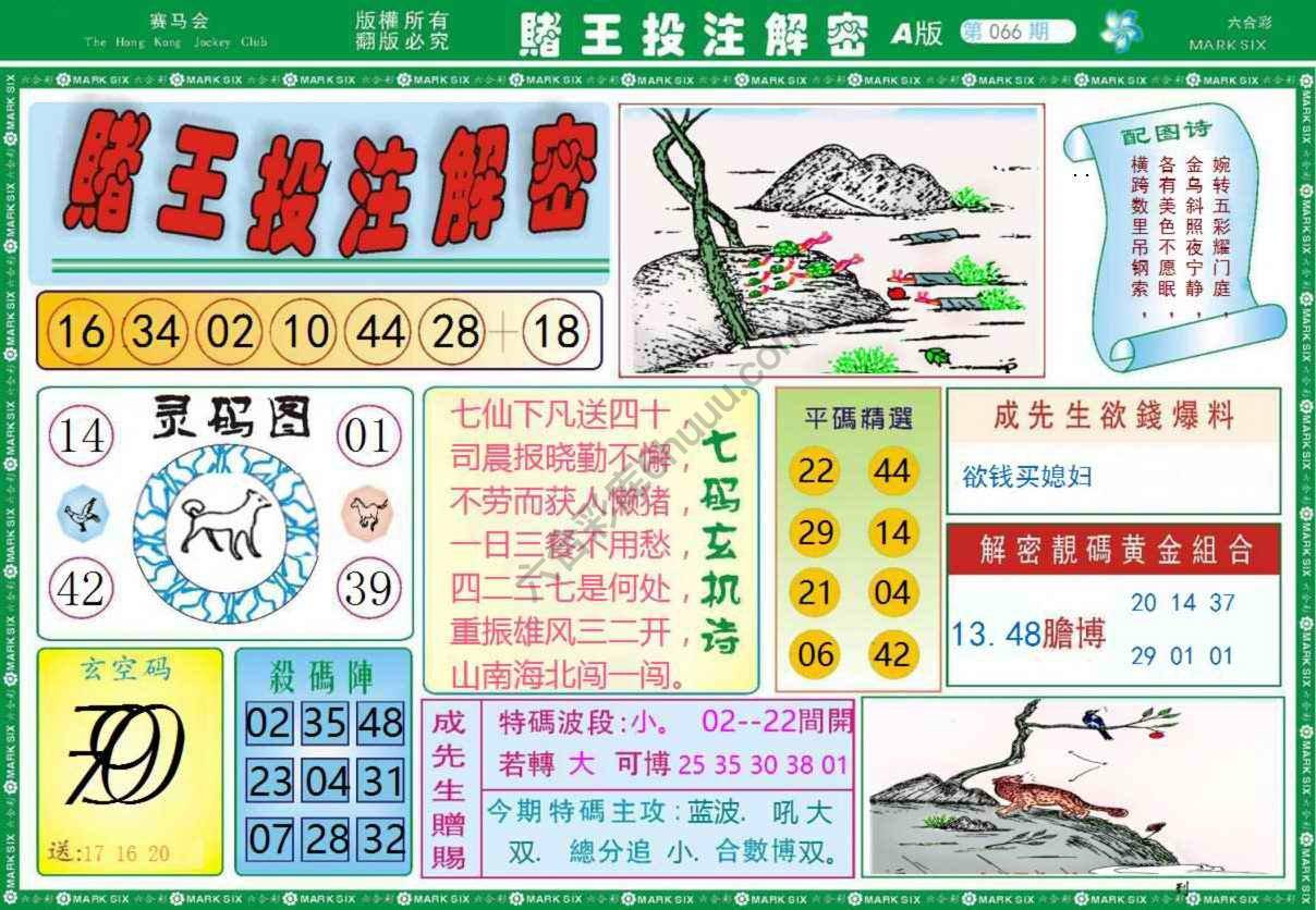 赌王投注解密