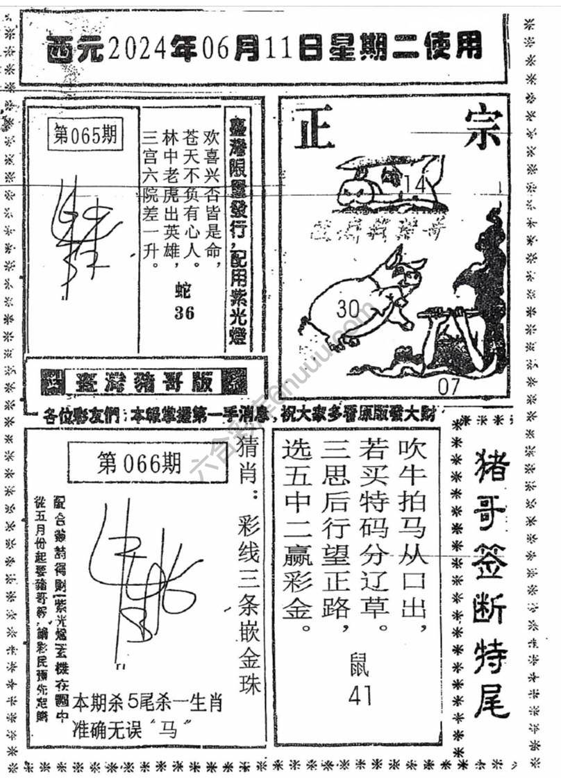 猪哥签断特尾
