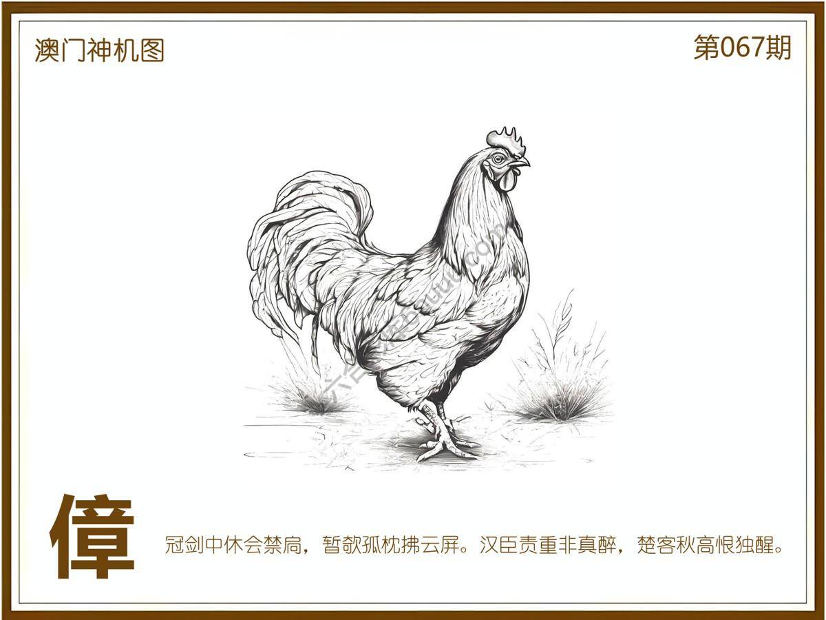 澳门神机图