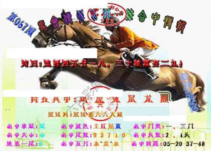 马会传真综合报