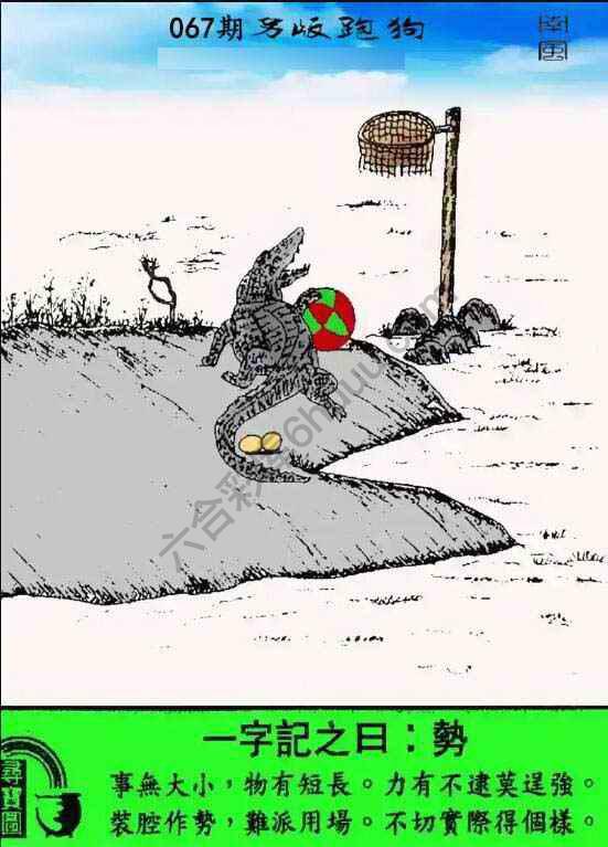 另版跑狗