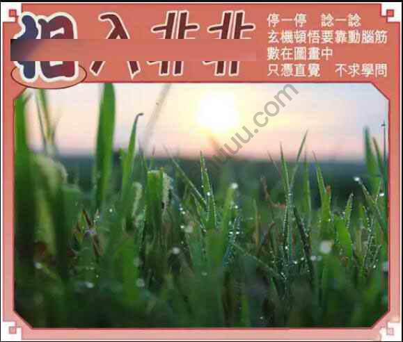 相入非非