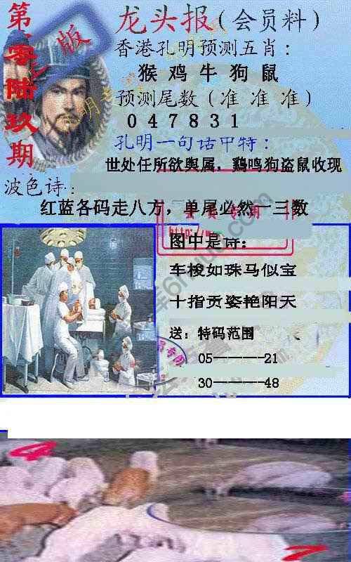 龙头报