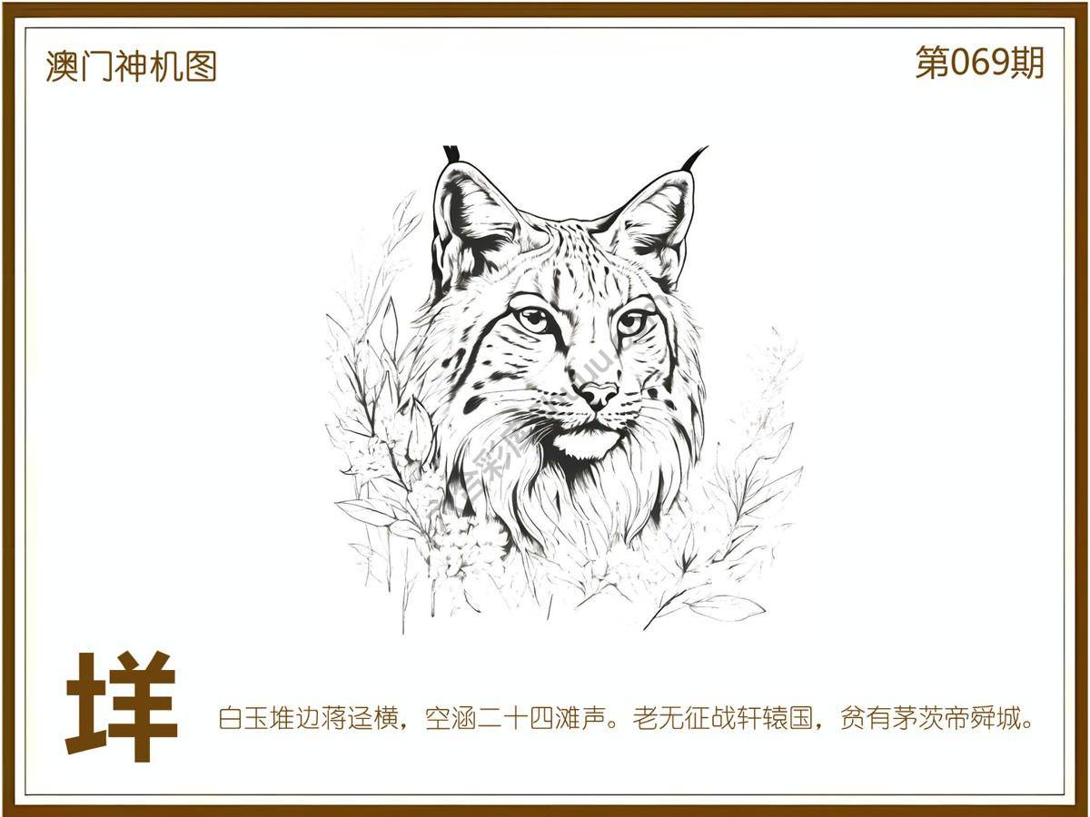 澳门神机图