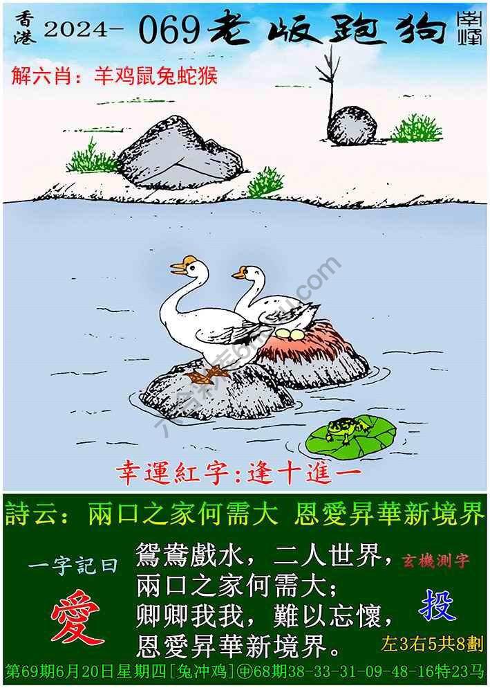 老版跑狗图