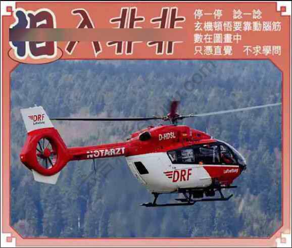 相入非非