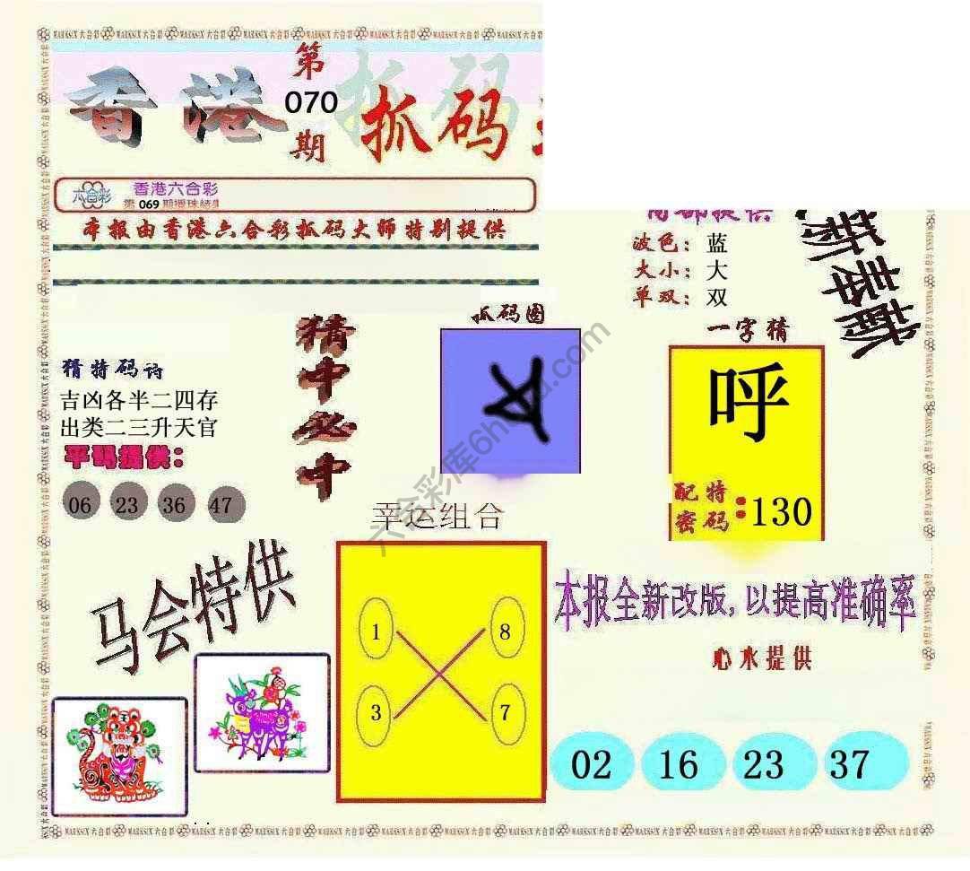 新抓码王