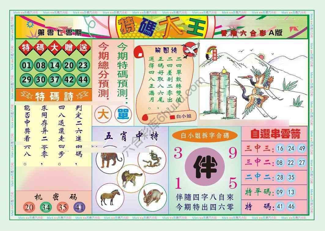 特码大王
