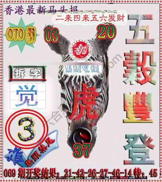 香港马头报