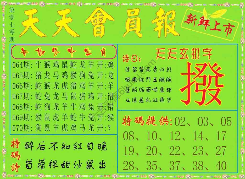 天天会员报