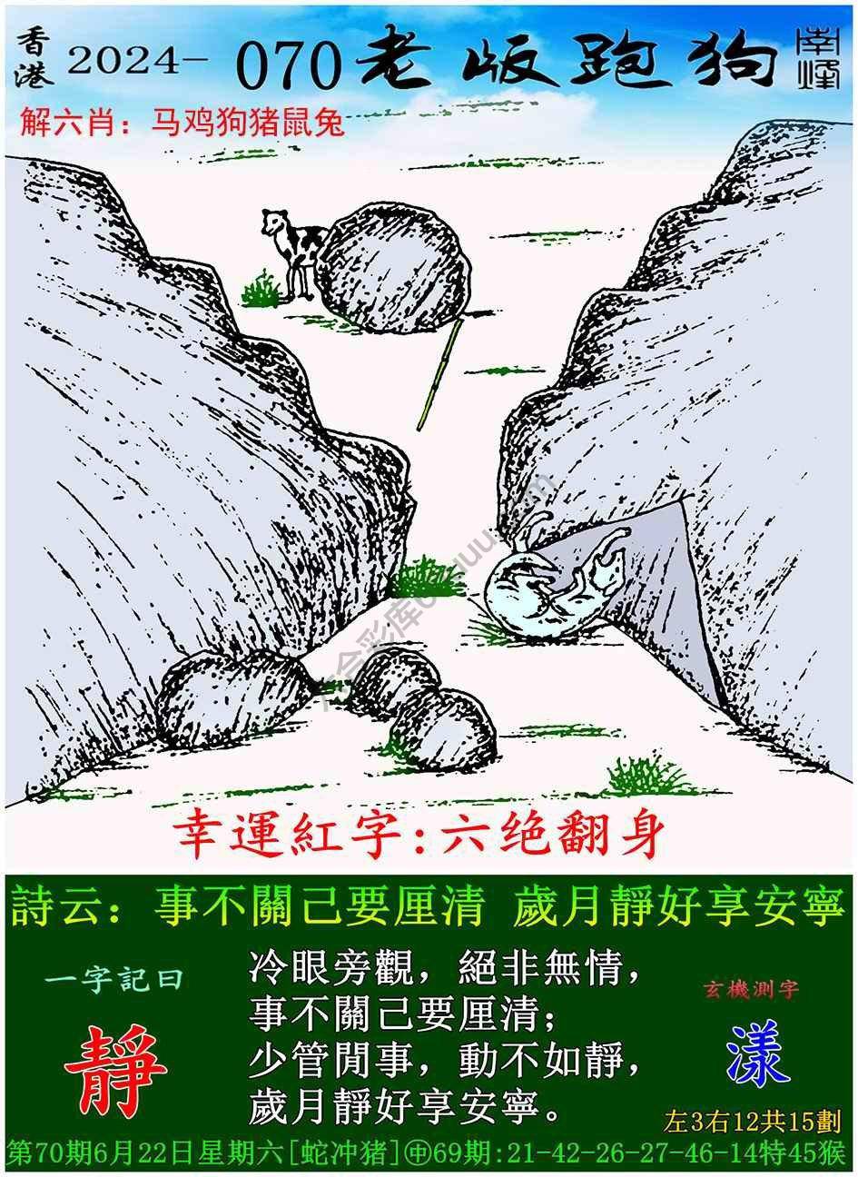 老版跑狗图