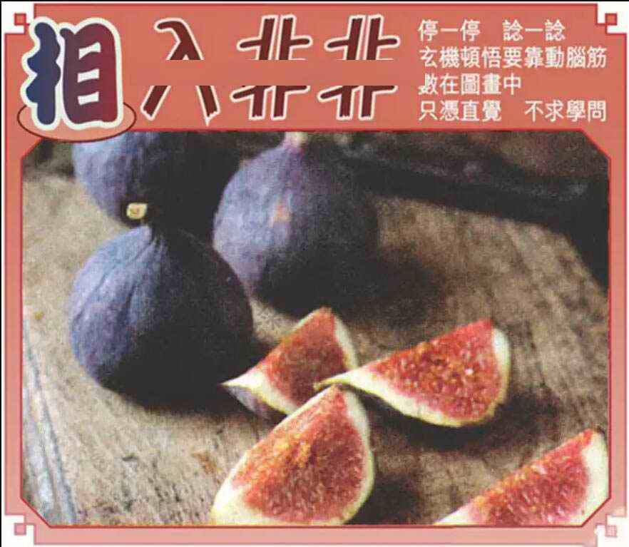 相入非非