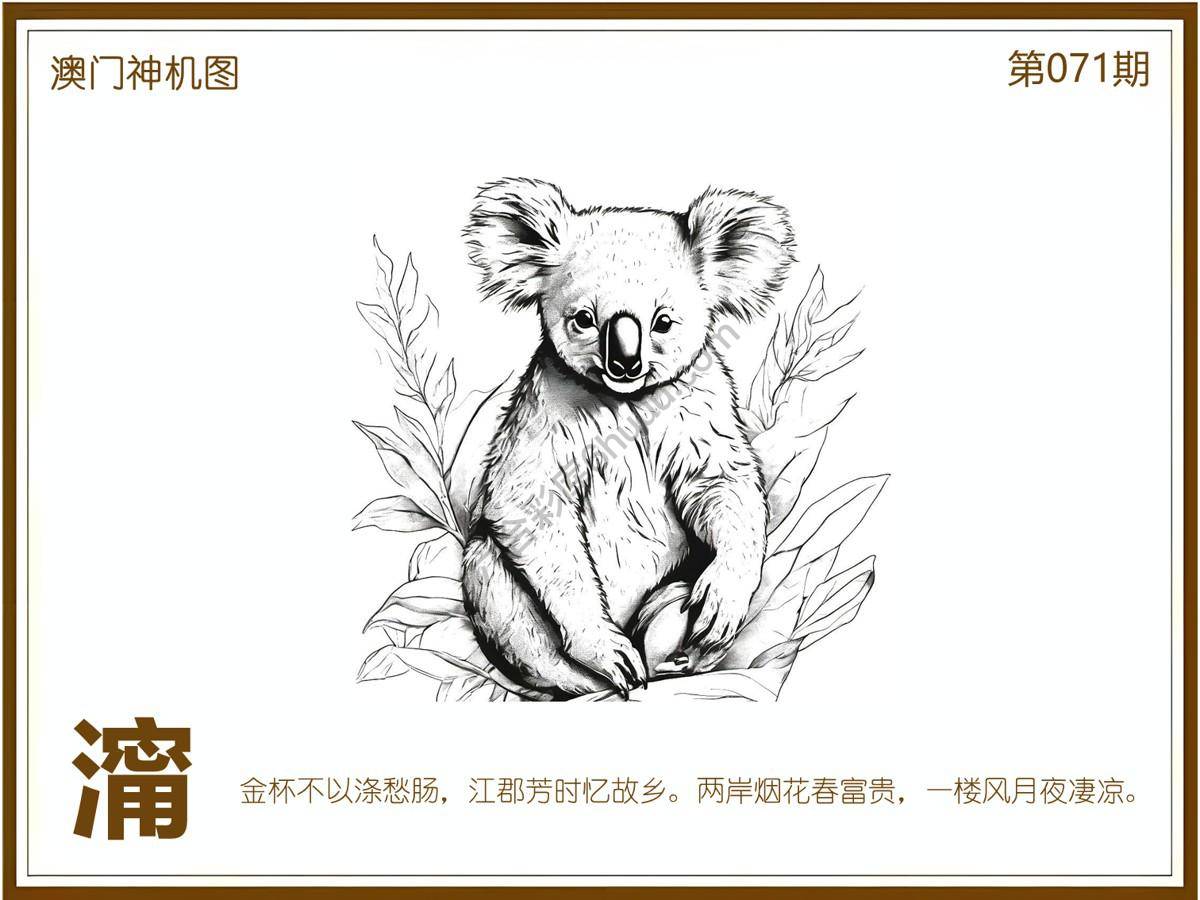 澳门神机图