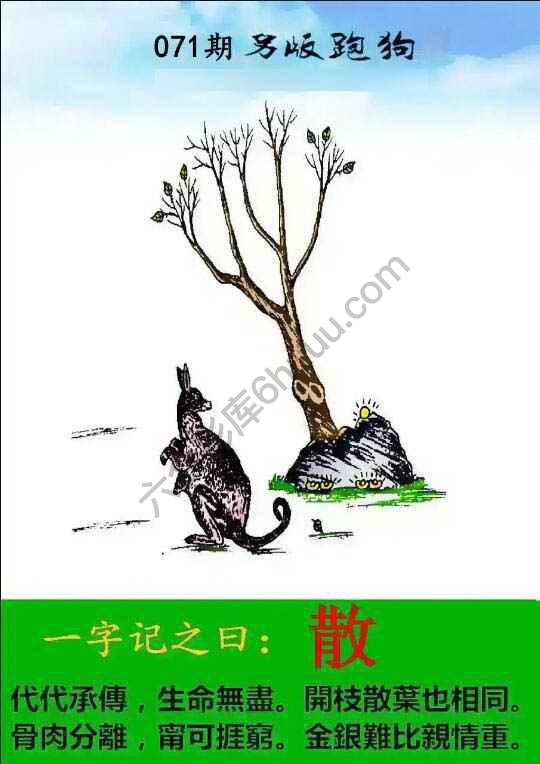 另版跑狗