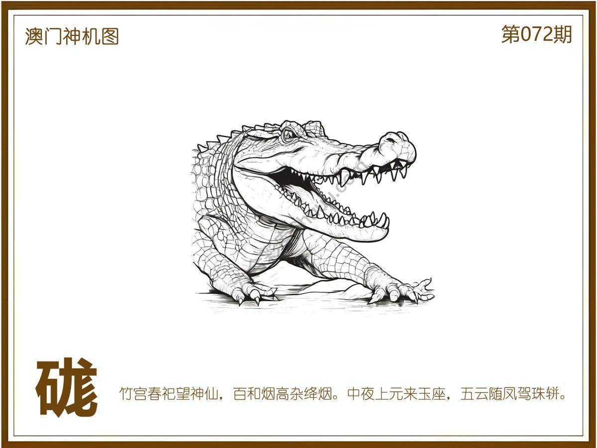 澳门神机图