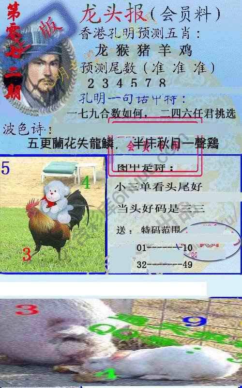 龙头报