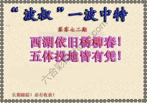 波叔一波中特