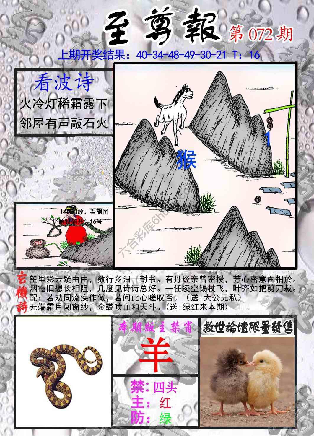 至尊报