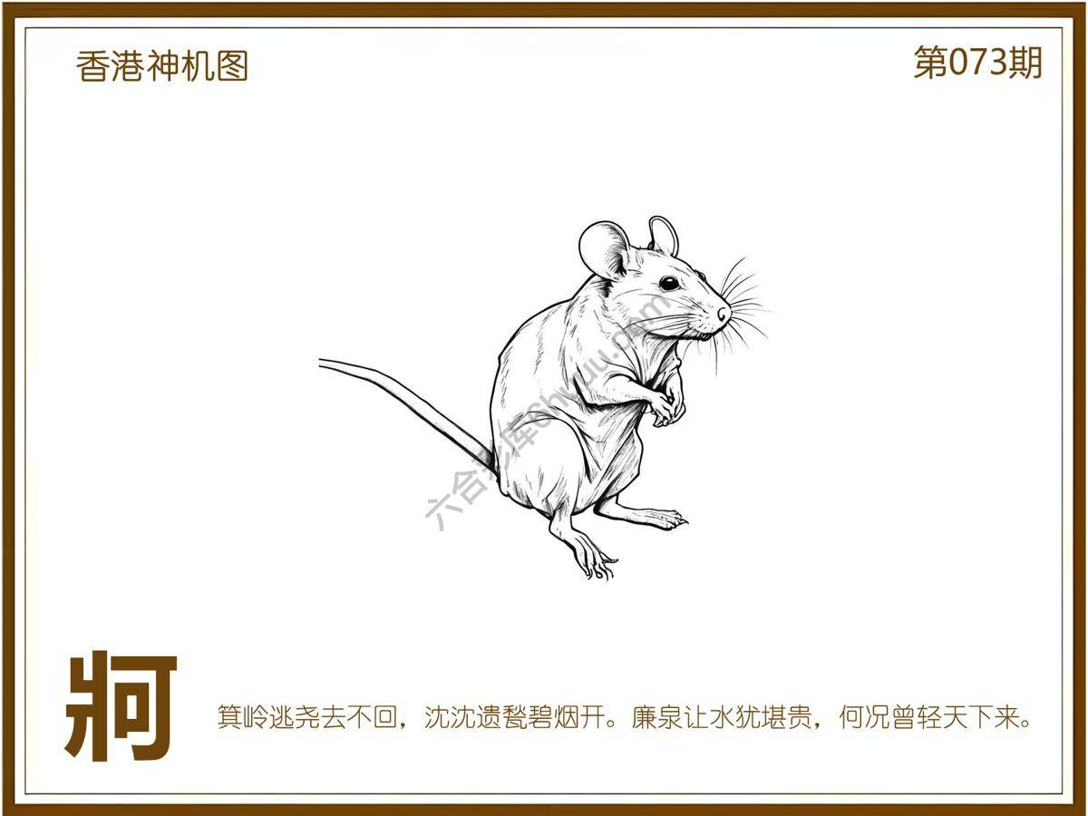 澳门神机图