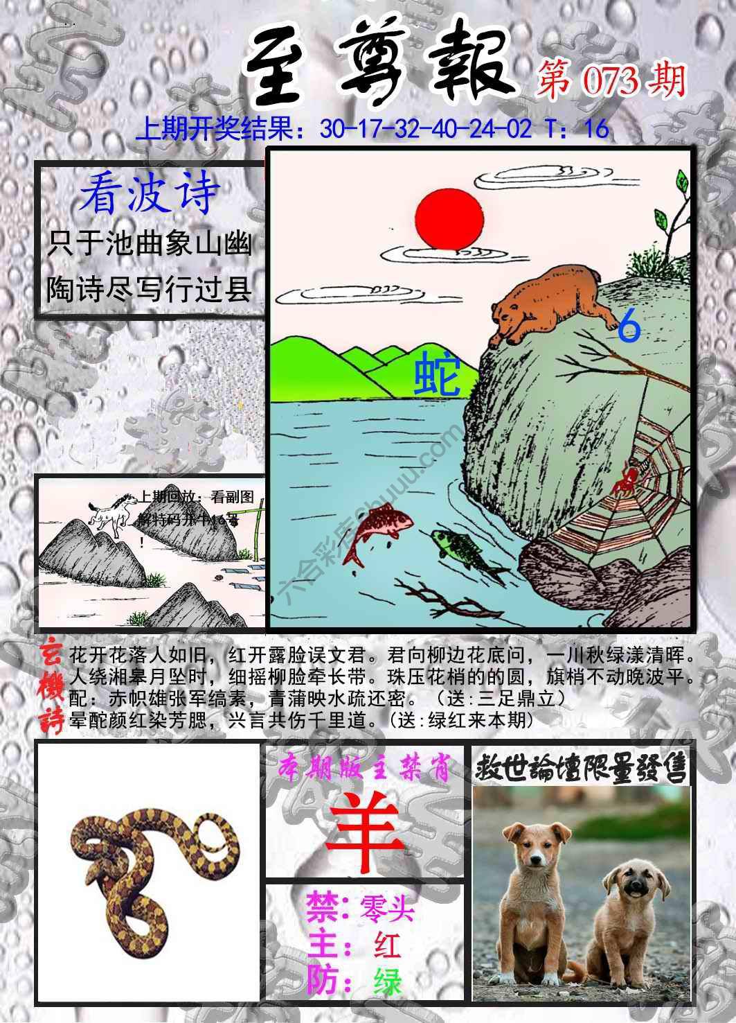 至尊报