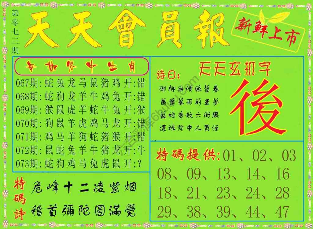 天天会员报
