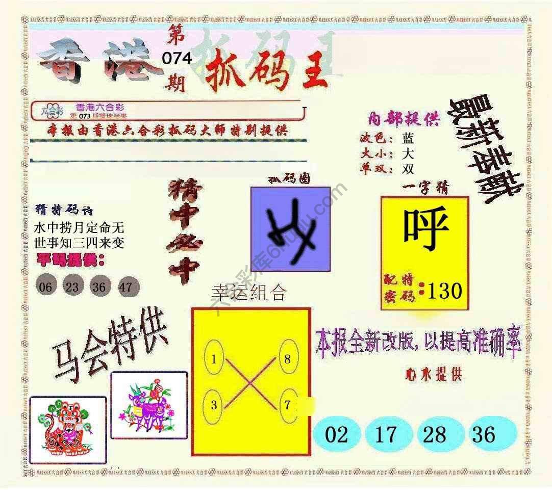 新抓码王