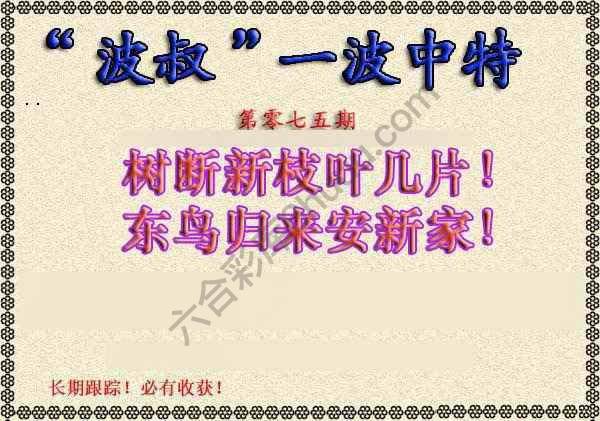 波叔一波中特
