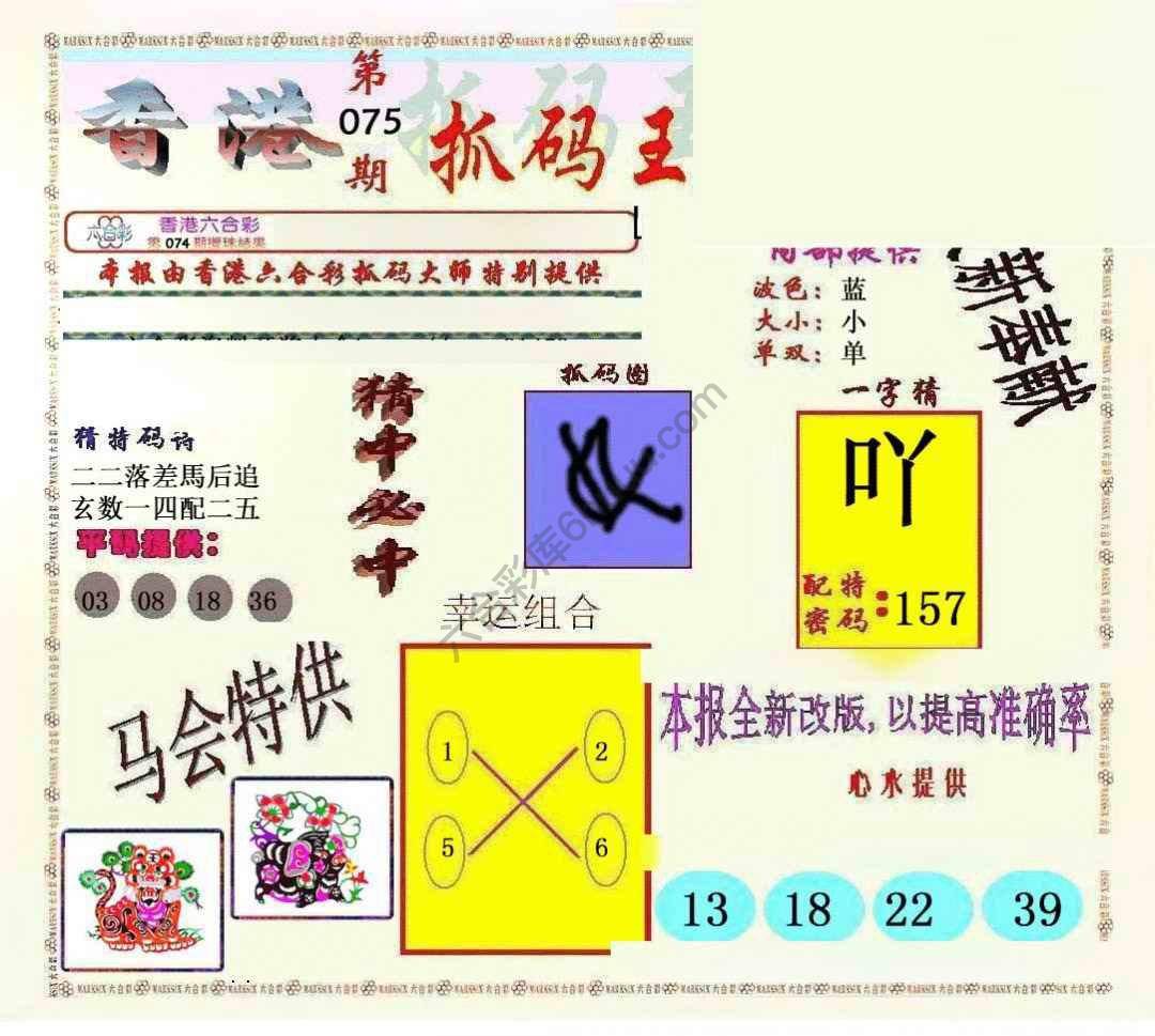新抓码王