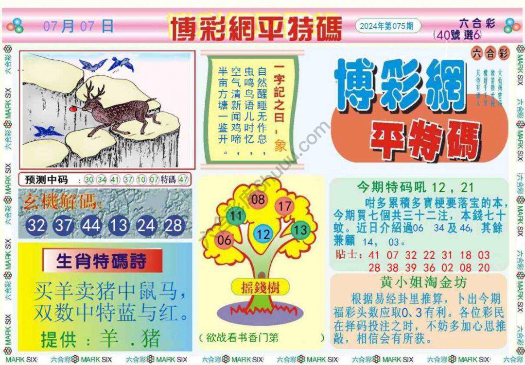 博彩网平特码