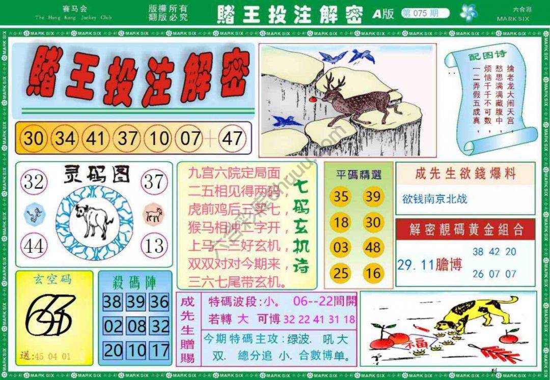 赌王投注解密