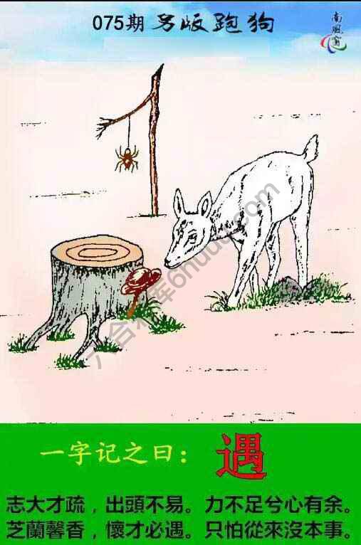 另版跑狗