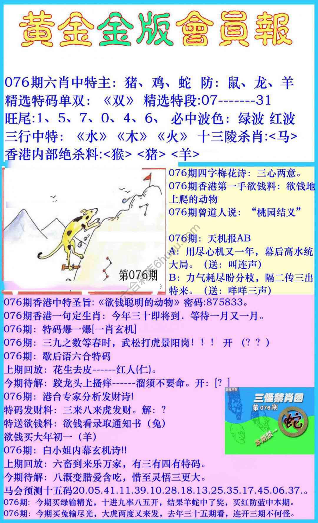 黄金金版会员报