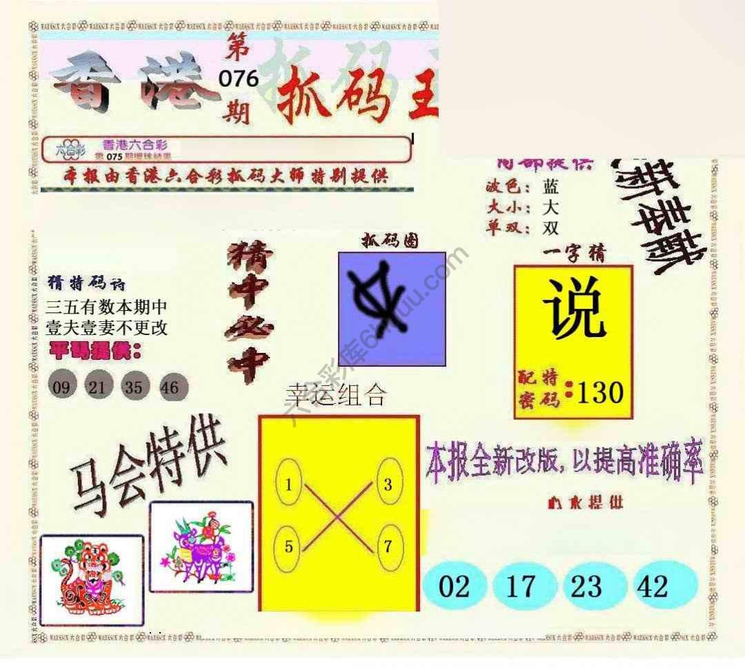 新抓码王