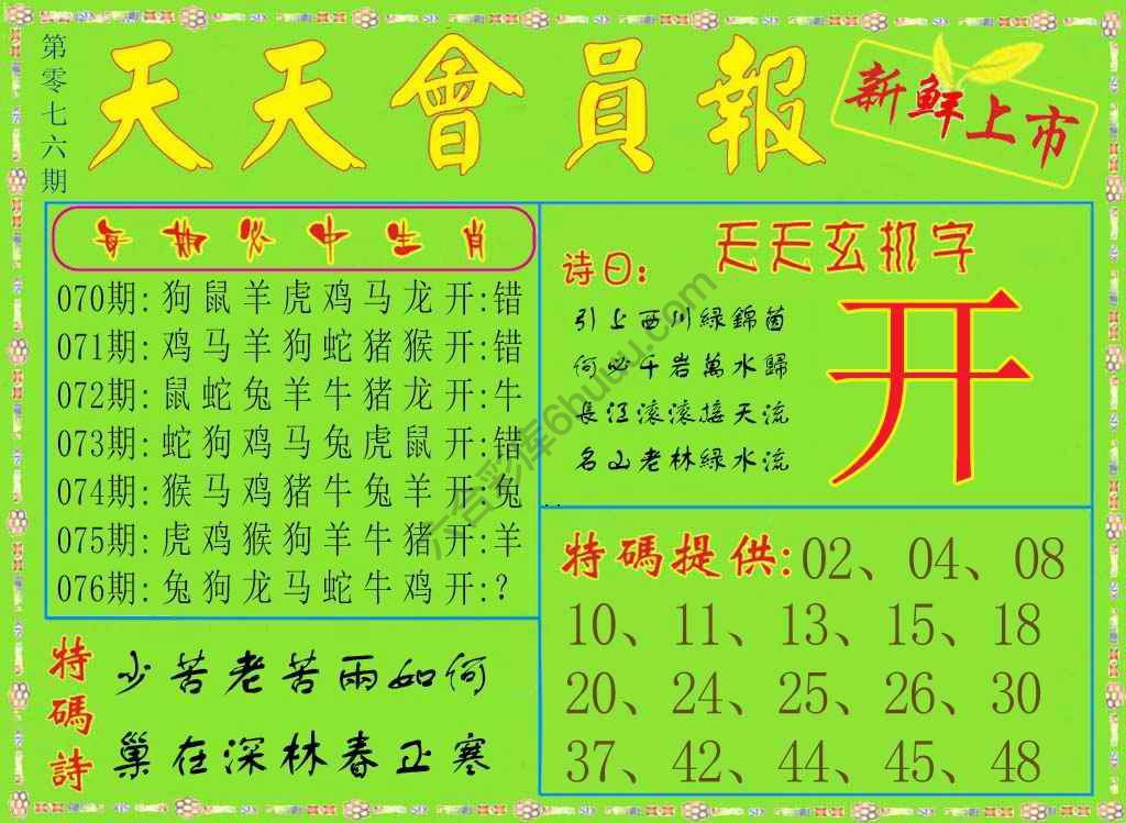 天天会员报