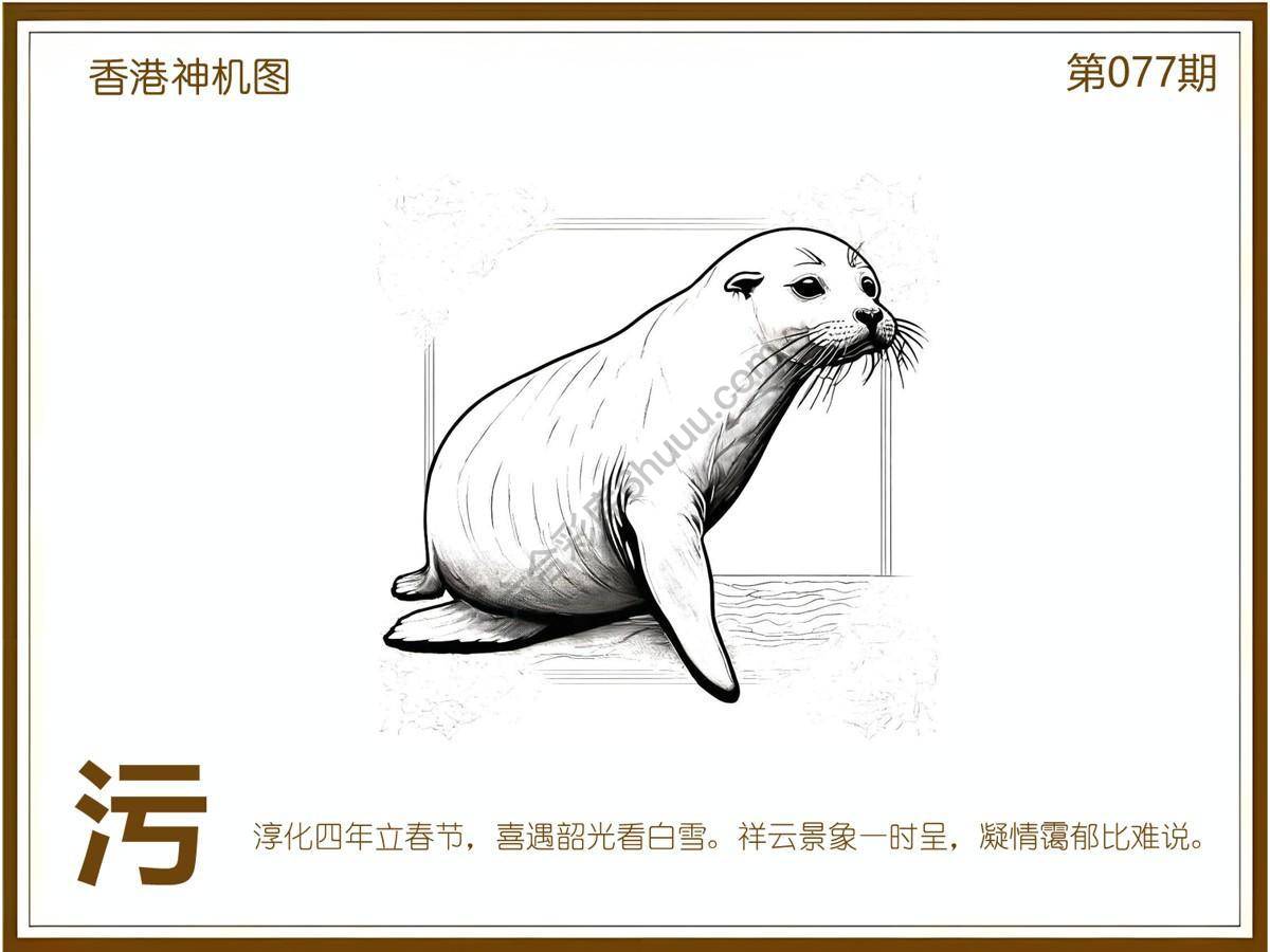 澳门神机图