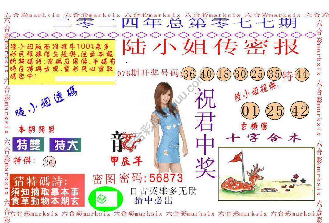 陆小姐传密