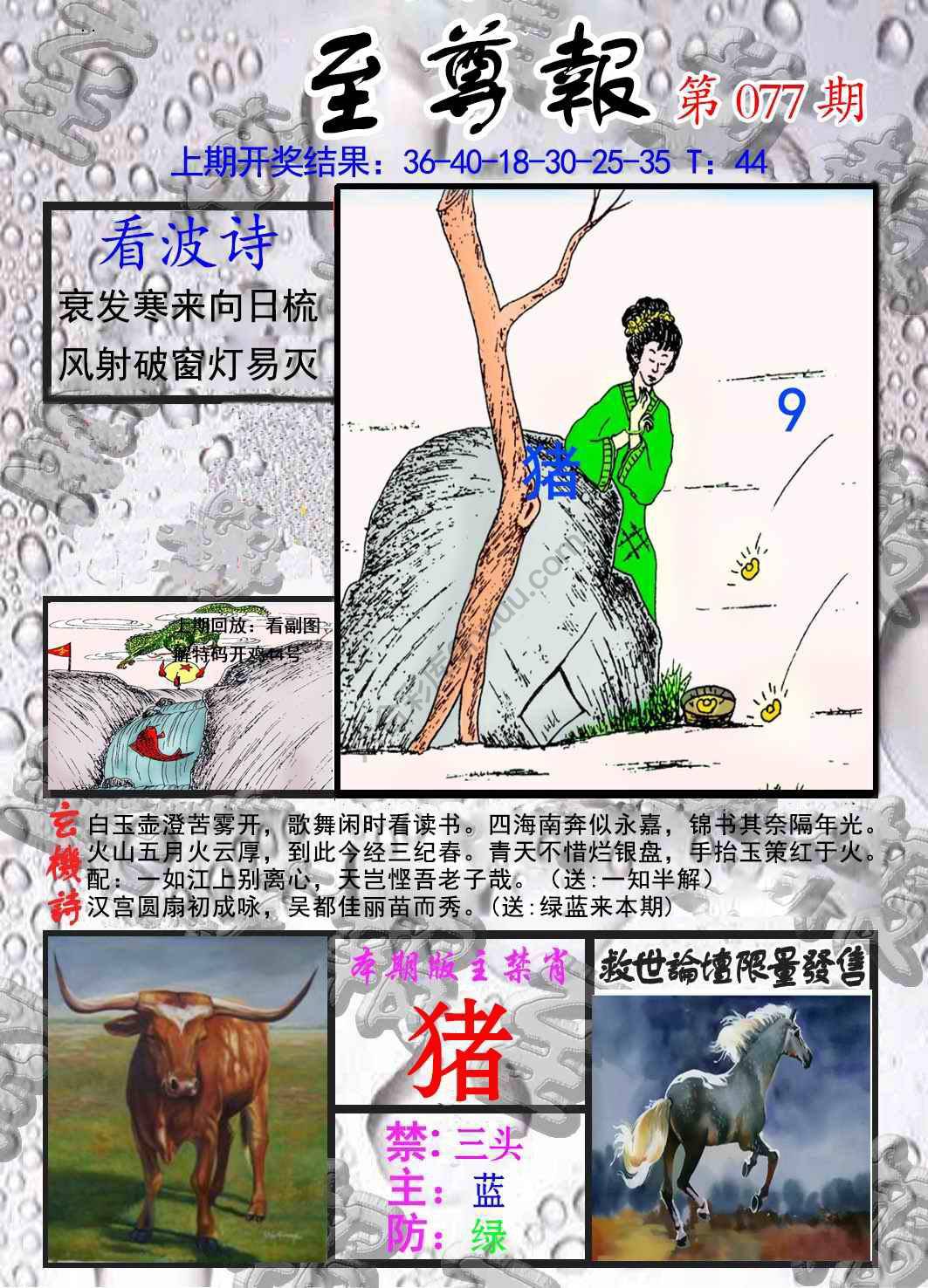 至尊报