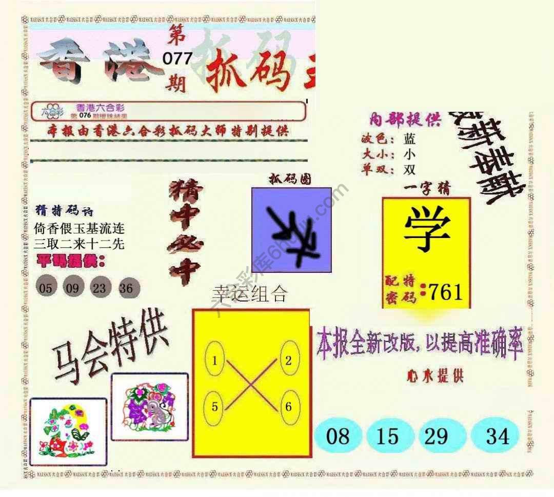 新抓码王