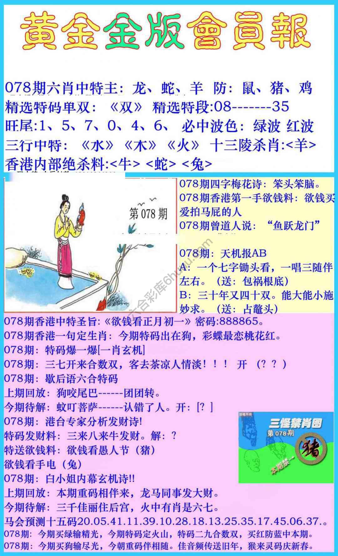黄金金版会员报