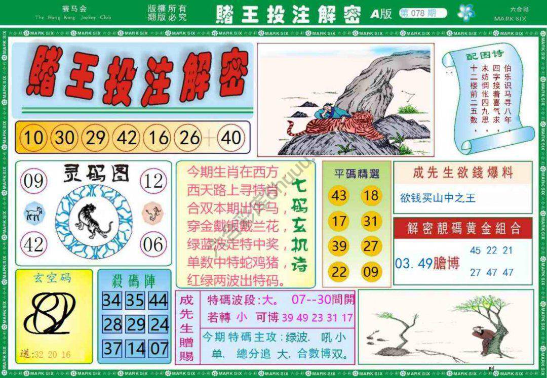 赌王投注解密