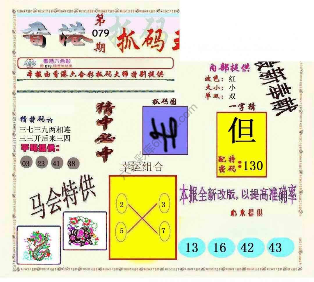 新抓码王