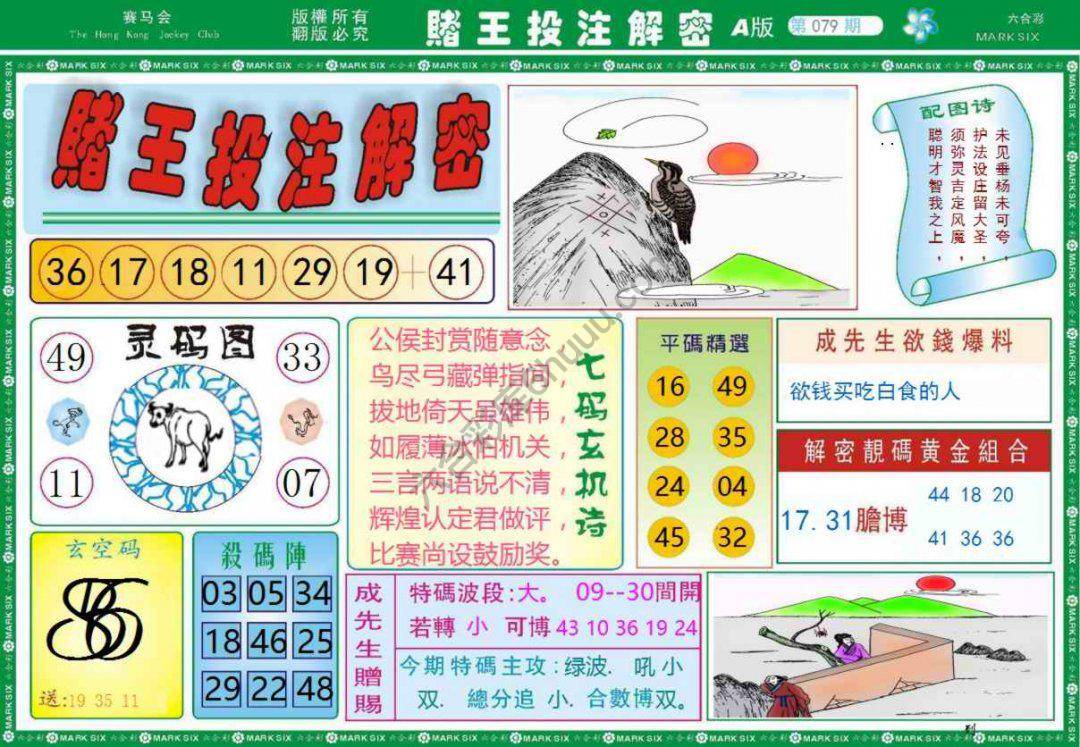 赌王投注解密