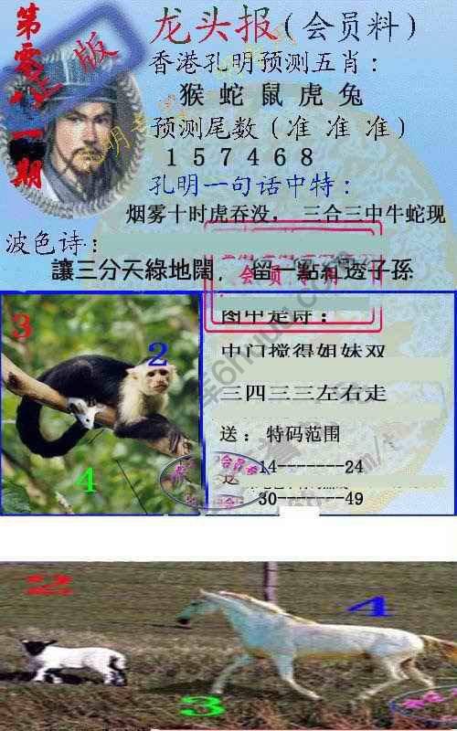 龙头报