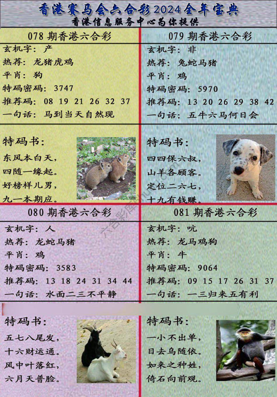 宝典报
