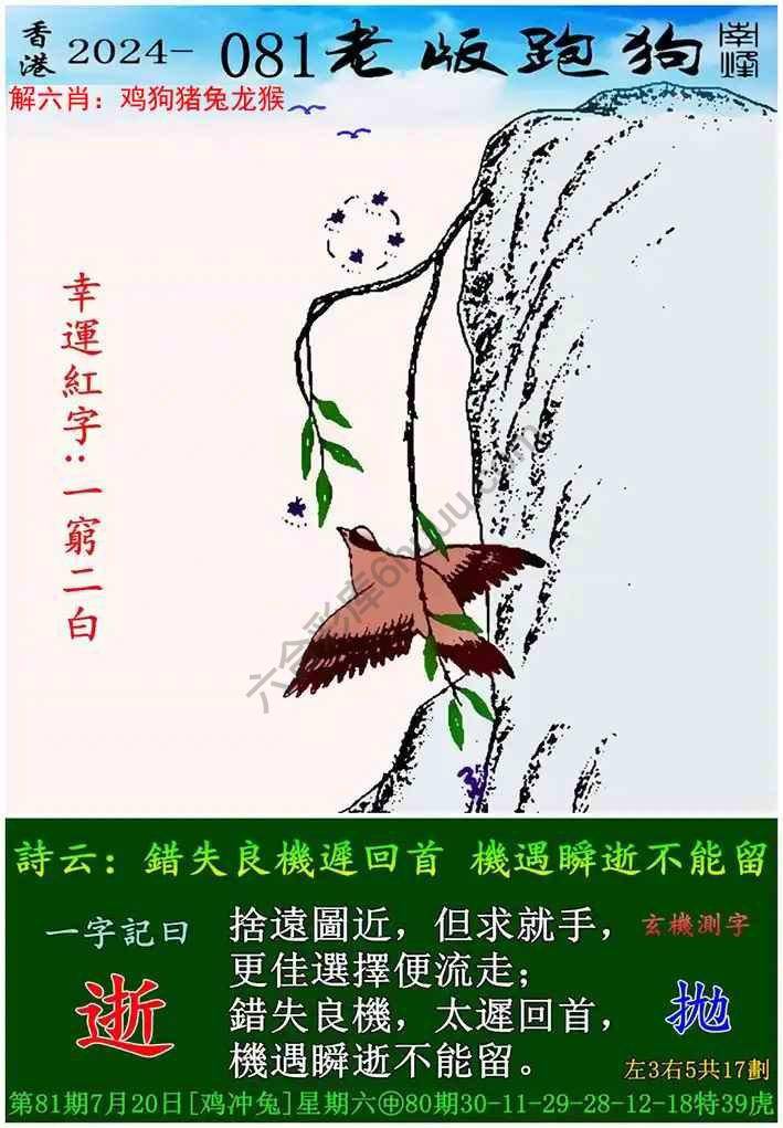 老版跑狗图