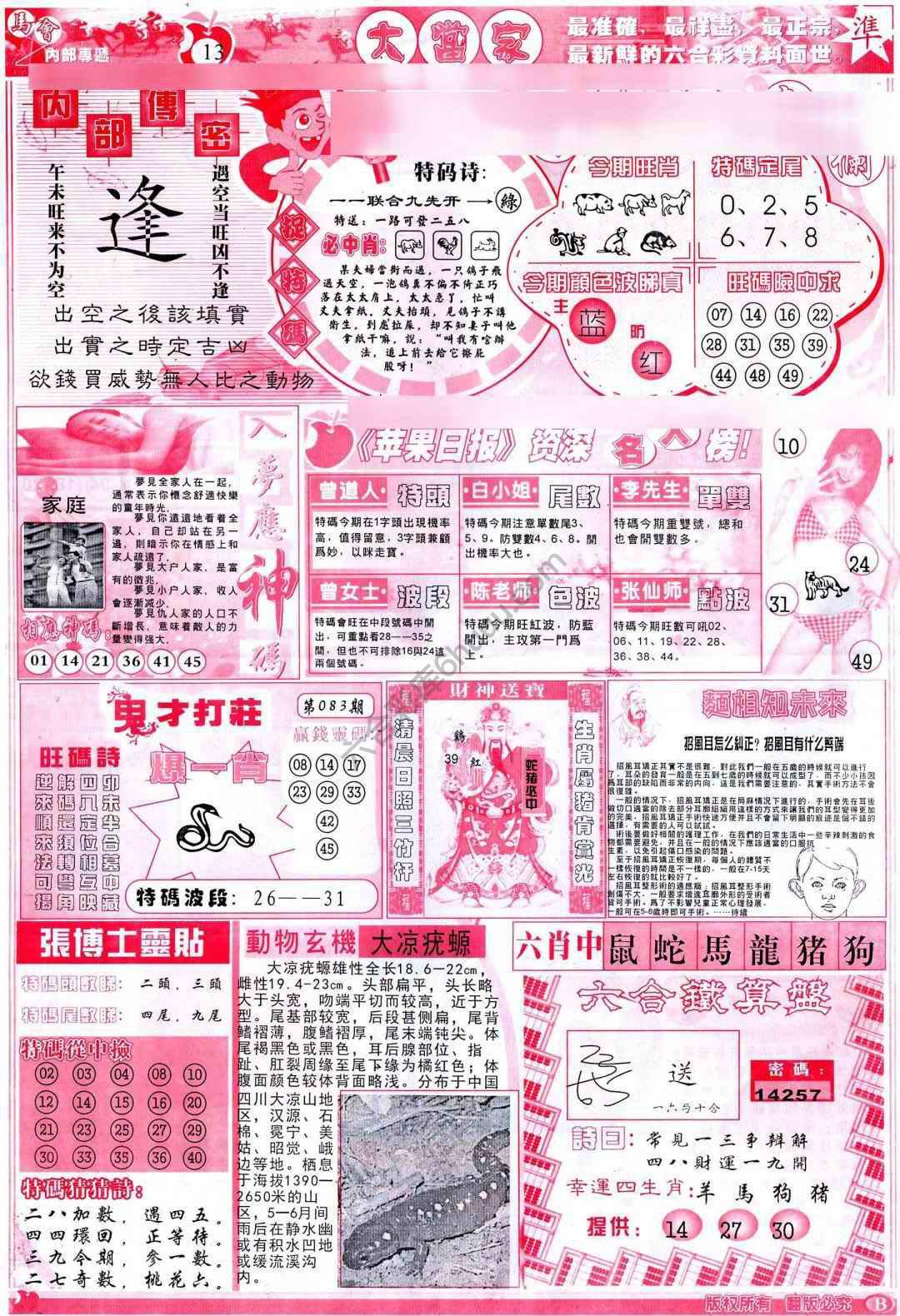 大当家