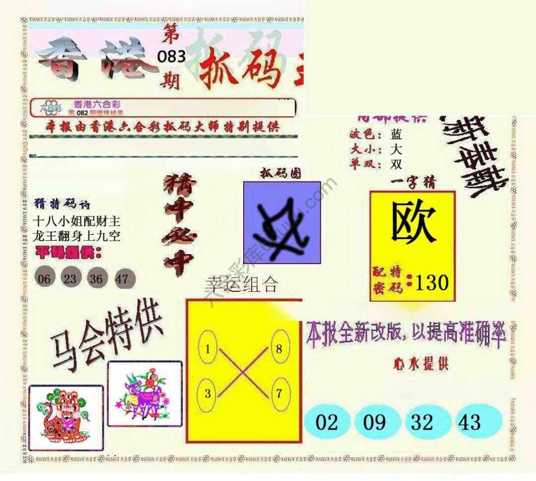 新抓码王
