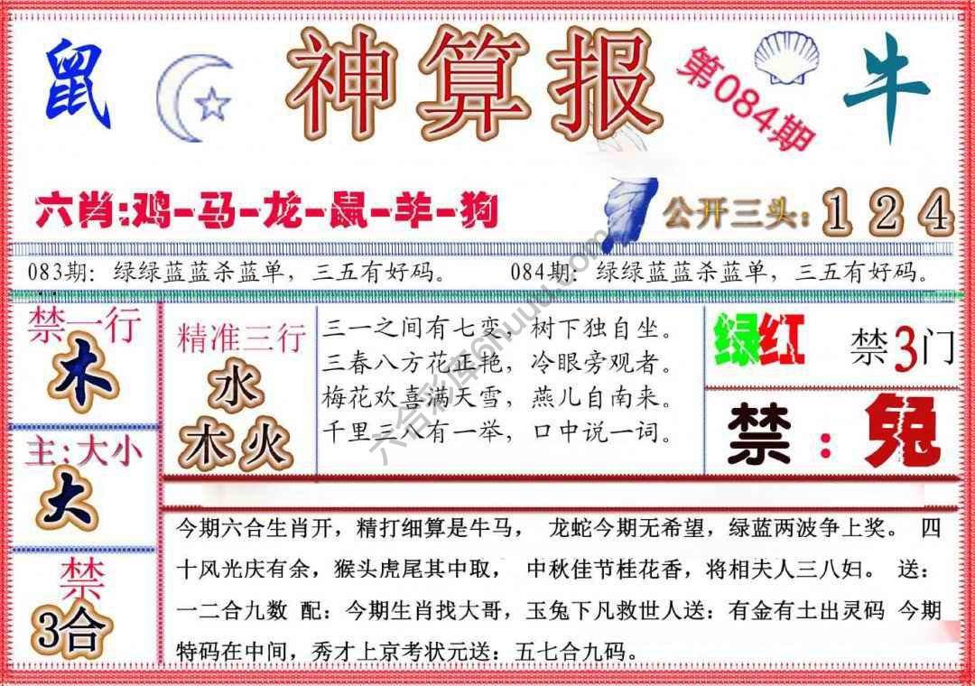 神算报新版